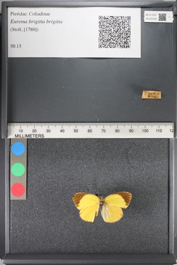 Media type: image;   Entomology 123100
